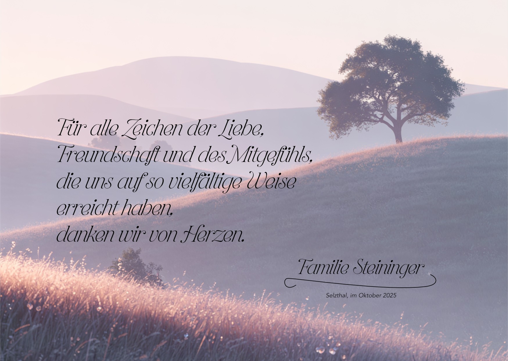 Danksagung Steininger